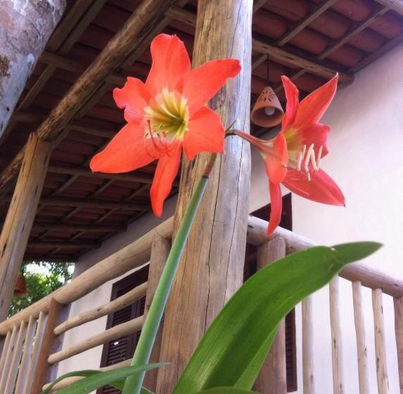 家庭洋房, Cheiro Nativo   Chalés & Pousada