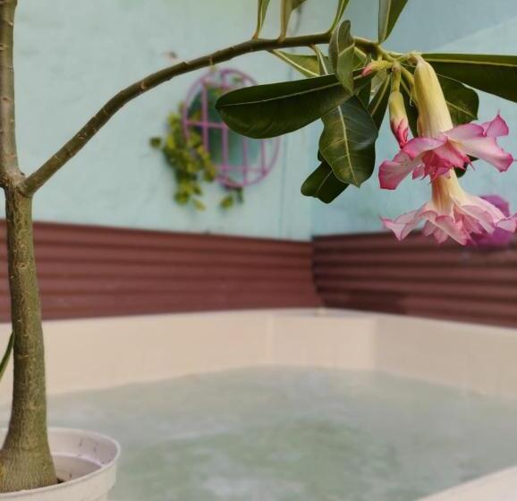 سرير فى غرفة مشتركه, Hostel La Antigua Capsula