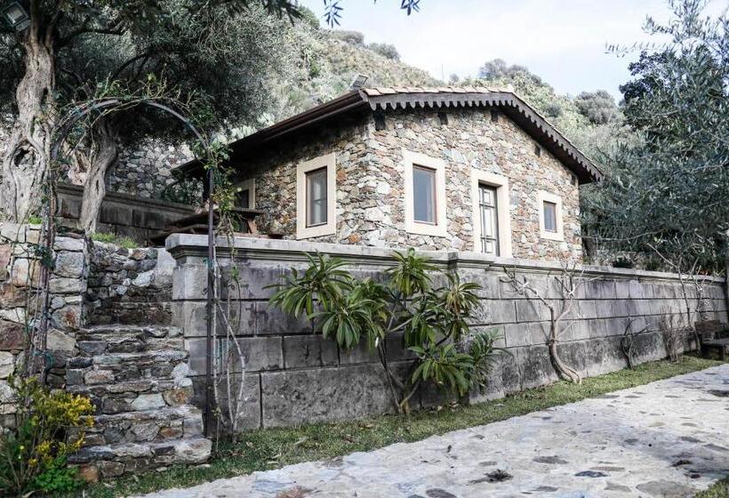 带大床的标准间, Ngonia Bay Boutique