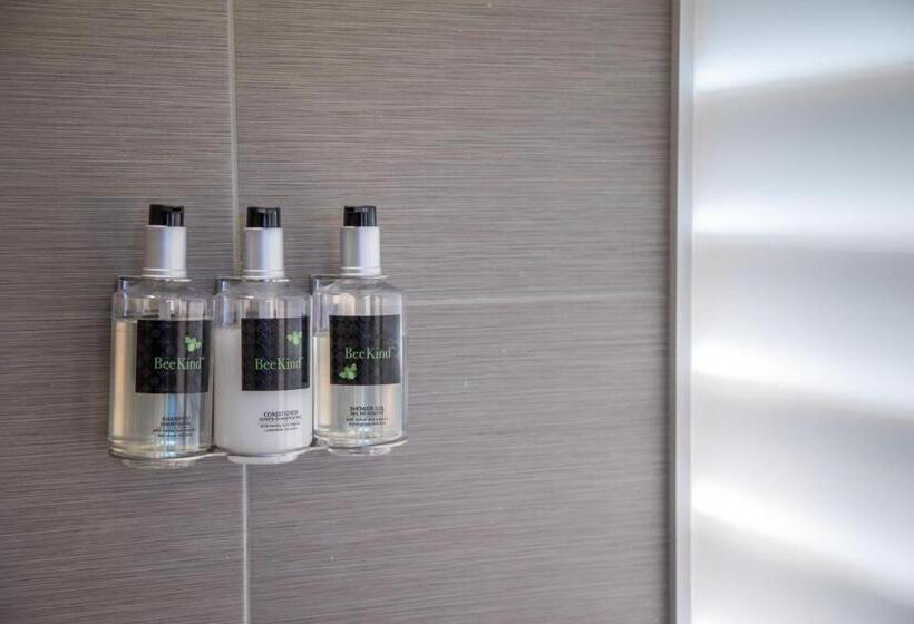 اتاق استاندارد با تخت بزرگ, The Fred Adults Only