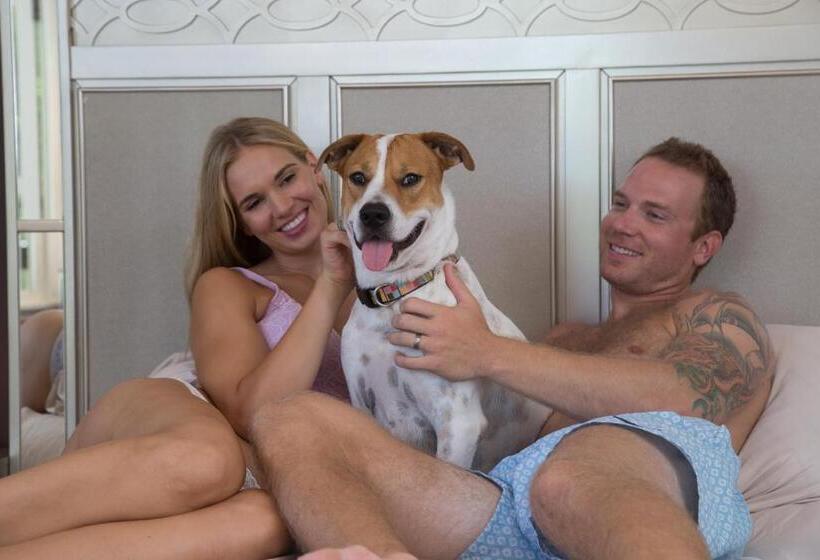 سوییت سوپریور, The Fred Adults Only