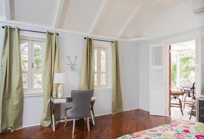 اتاق استاندارد, The Fred Adults Only