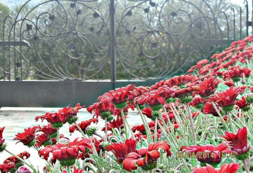 ２ベッドスイートルーム, Casa Piredda Icoré Iun P2102