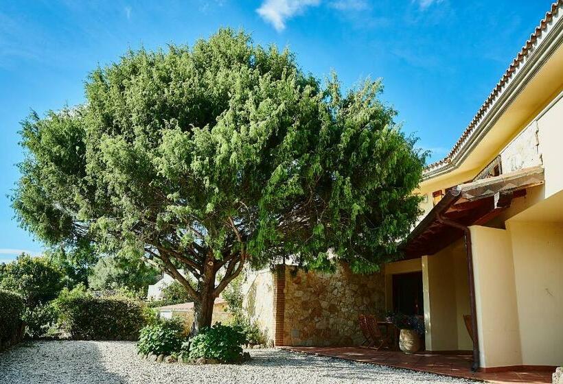 ２ベッドスイートルーム, Casa Piredda Icoré Iun P2102