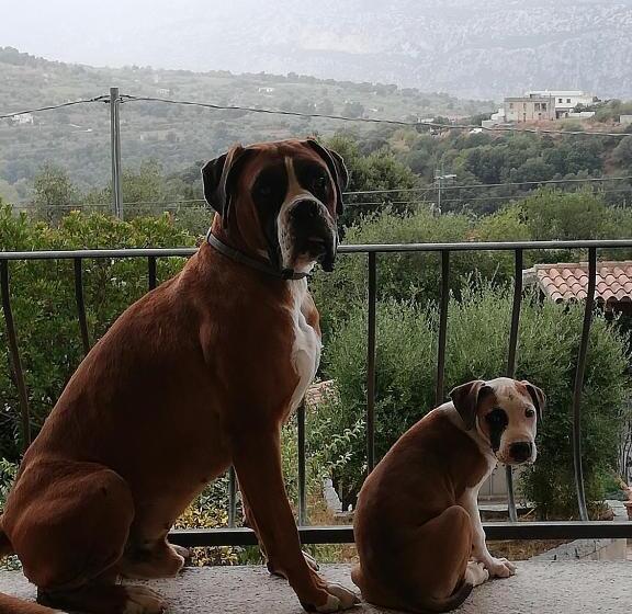 ２ベッドスイートルーム, Casa Piredda Icoré Iun P2102