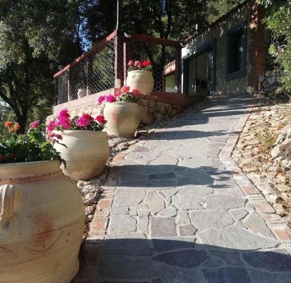 公園の見えるスタンダードルーム, Casa Piredda Icoré Iun P2102