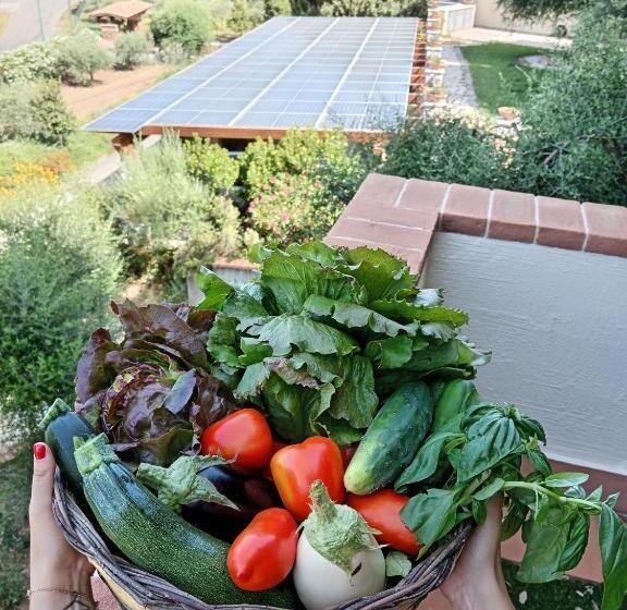 ビュー有りのスタンダードワンルーム, Casa Piredda Icoré Iun P2102