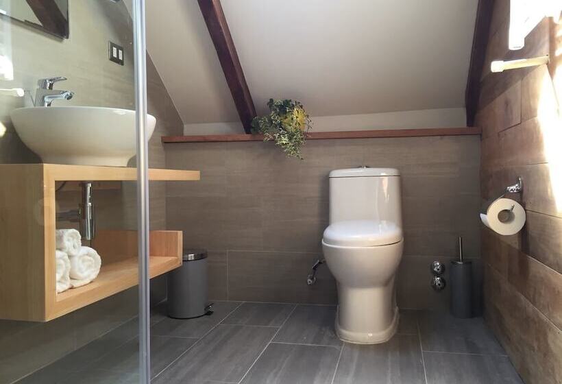 اتاق عادی, Mero Gaucho