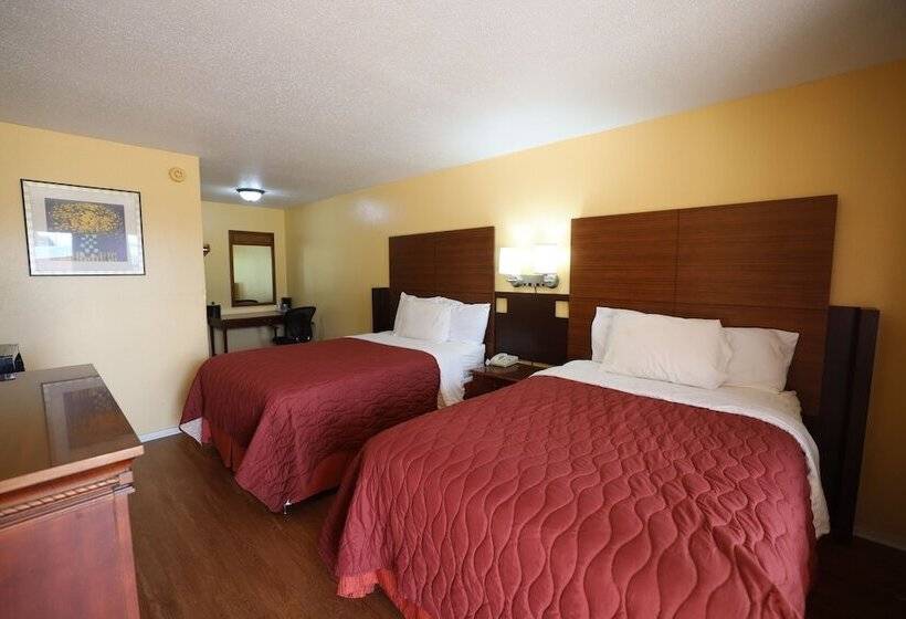 带2个双人床的标准工作室, Van Inn