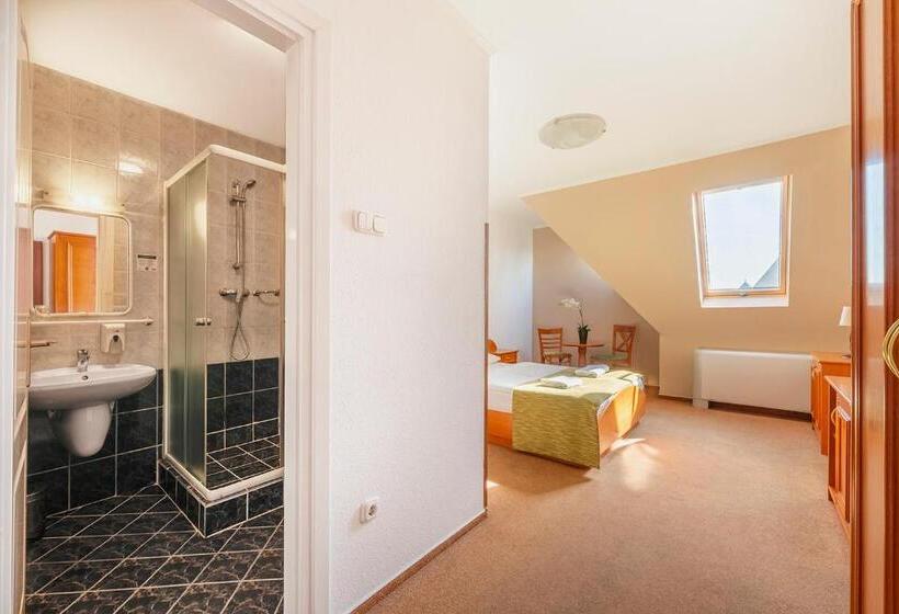 标准间, Baross City Hotel   Budapest