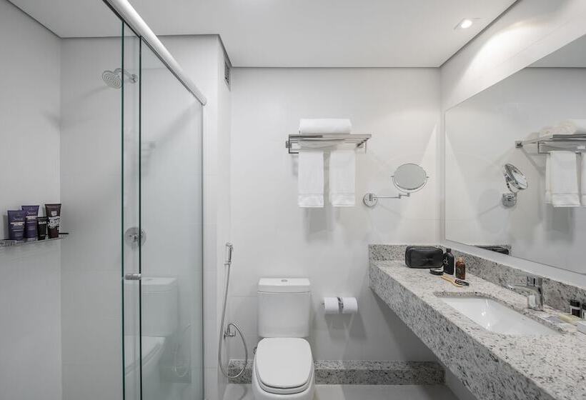 Номер Стандарт, Intercity Sao Leopoldo