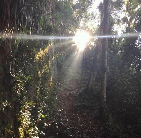 Номер Deluxe Одноместный, Piramide