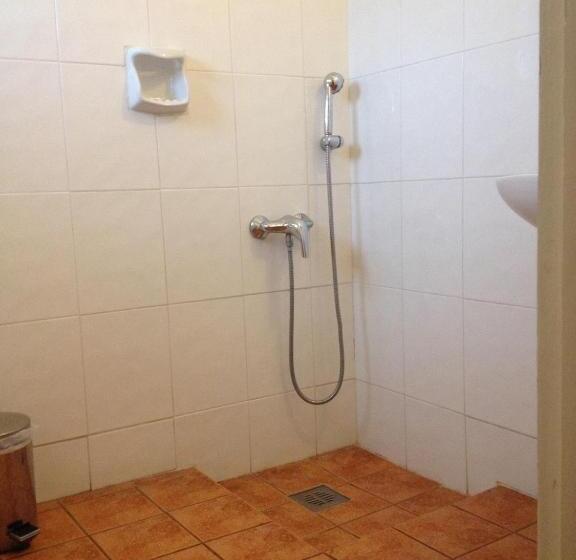 חדר בסיסי, Aegli