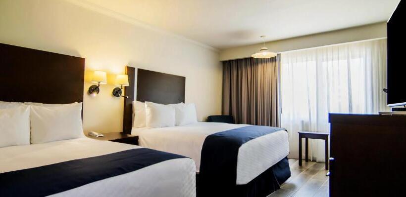 اتاق سوپریور, Gamma Tampico