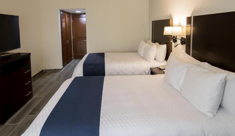 اتاق سوپریور, Gamma Tampico