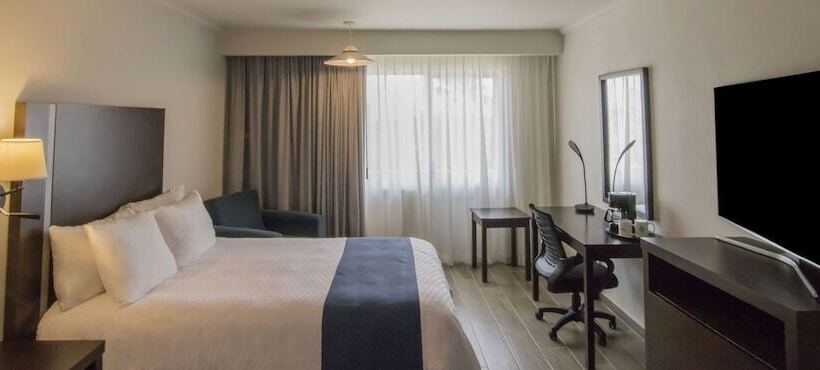 اتاق سوپریور, Gamma Tampico