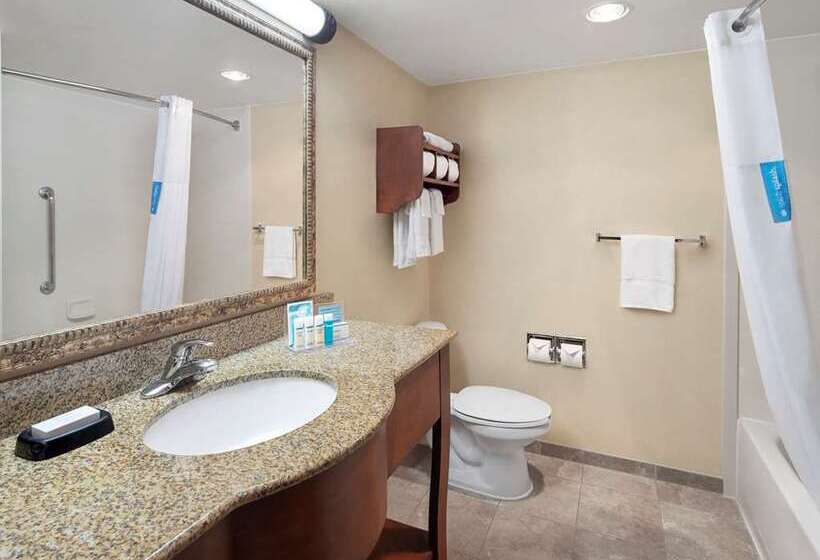 Номер Стандарт Адаптированный для Инвалидов, Hampton Inn & Suites Phoenix Downtown