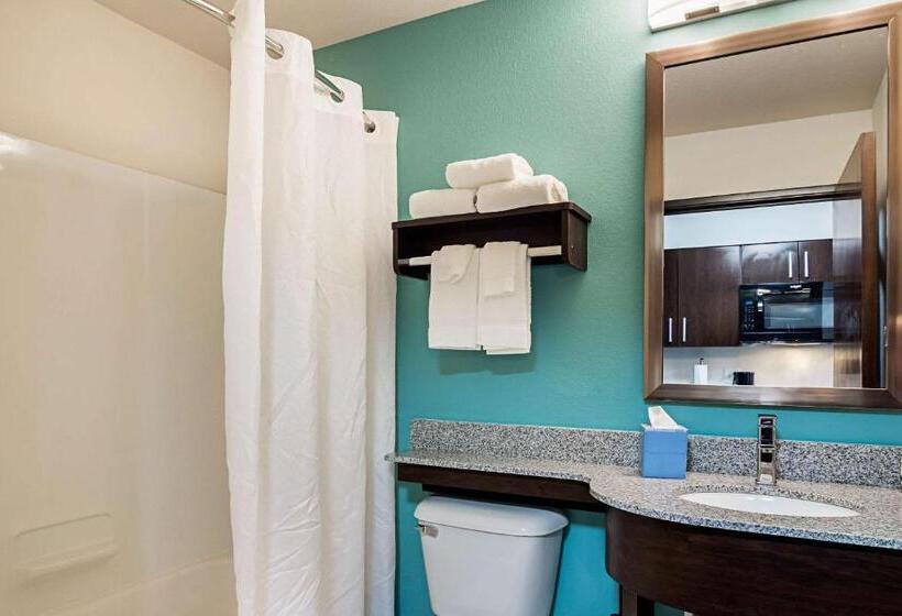 标准间, Suburban Studios Monaca  Pittsburgh