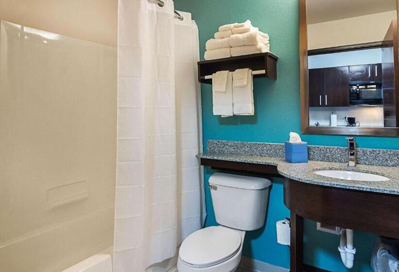 标准间, Suburban Studios Monaca  Pittsburgh