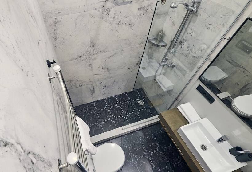 高级工作室, The Faces Moyka