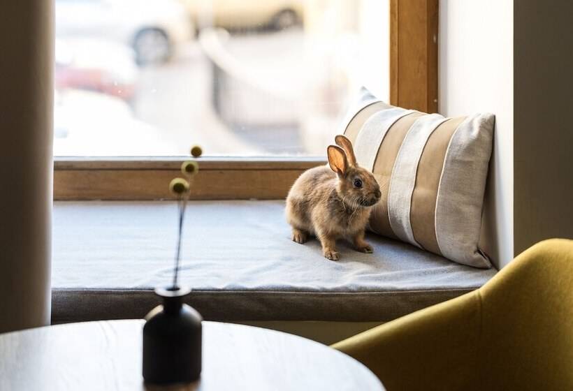 高级工作室, The Faces Moyka