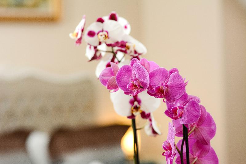 اتاق استاندارد یک نفره, The Social Hub Florence Lavagnini