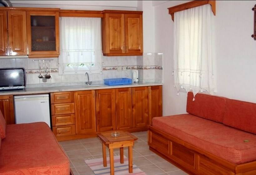 شقة غرفة واحدة, Agar Apart