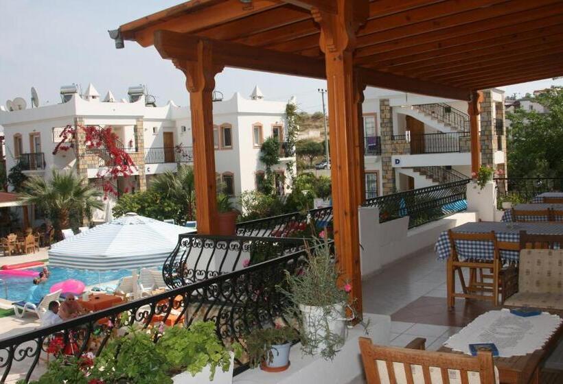 شقة غرفة واحدة, Agar Apart