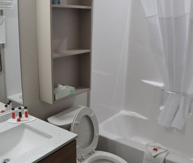 비즈니스룸, Microtel Inn & Suites By Wyndham Lubbock