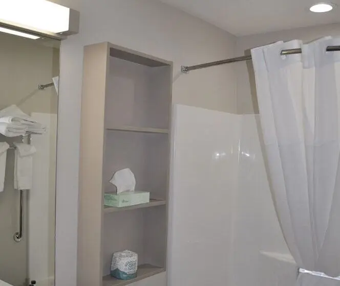 سوئیت برای معلولان, Microtel Inn & Suites By Wyndham Lubbock