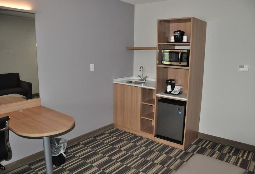장애인을 위한 스위트, Microtel Inn & Suites By Wyndham Lubbock