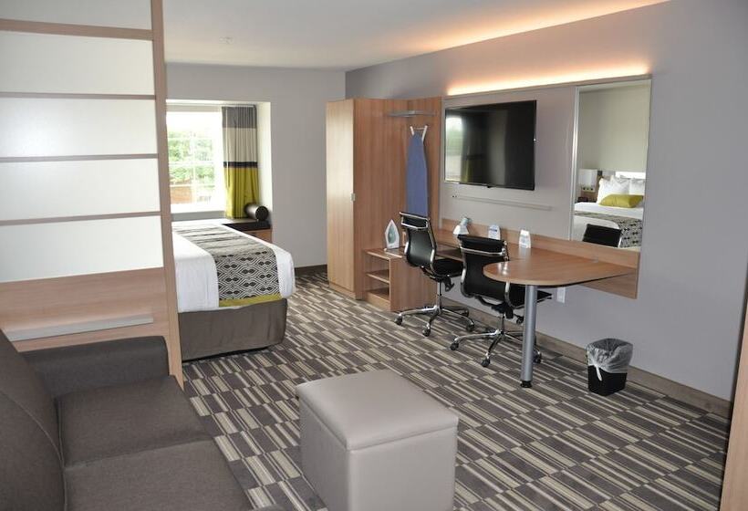 장애인을 위한 스위트, Microtel Inn & Suites By Wyndham Lubbock