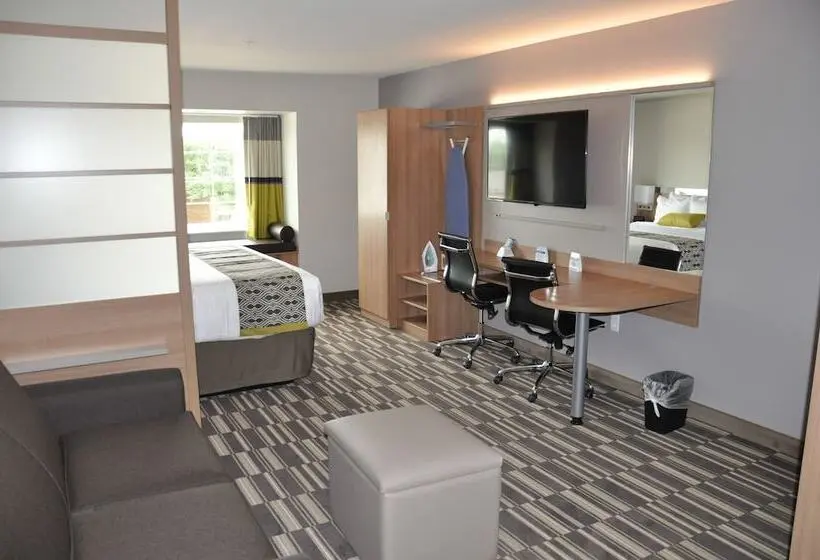 سوئیت برای معلولان, Microtel Inn & Suites By Wyndham Lubbock