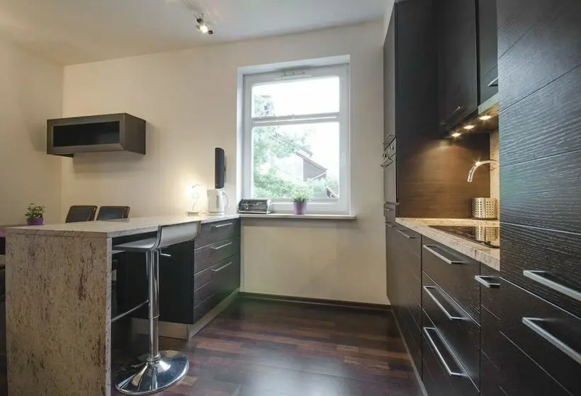 １ベッドルームのデラックスアパートメント, Dom & House   Apartments Parkur