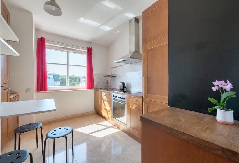 Апартаменты Классик 1 Спальня, Dom & House   Apartments Parkur
