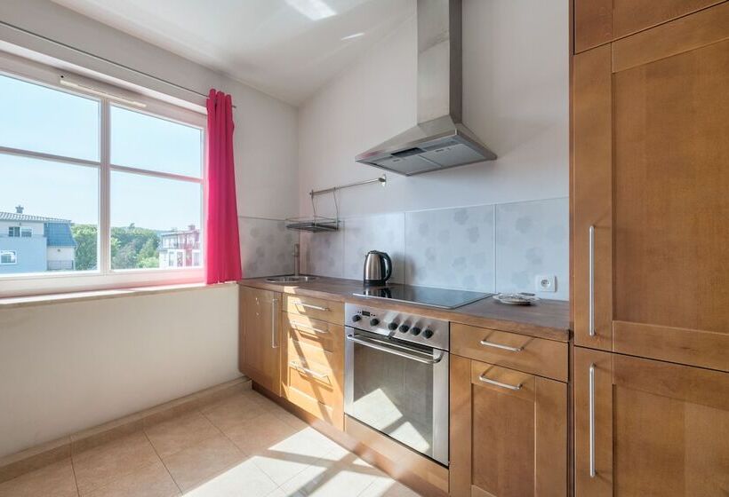 شقة كلاسيكية غرفة نوم واحدة, Dom & House   Apartments Parkur