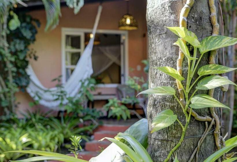 اتاق استاندارد چهار تخته, Beijamar Praia