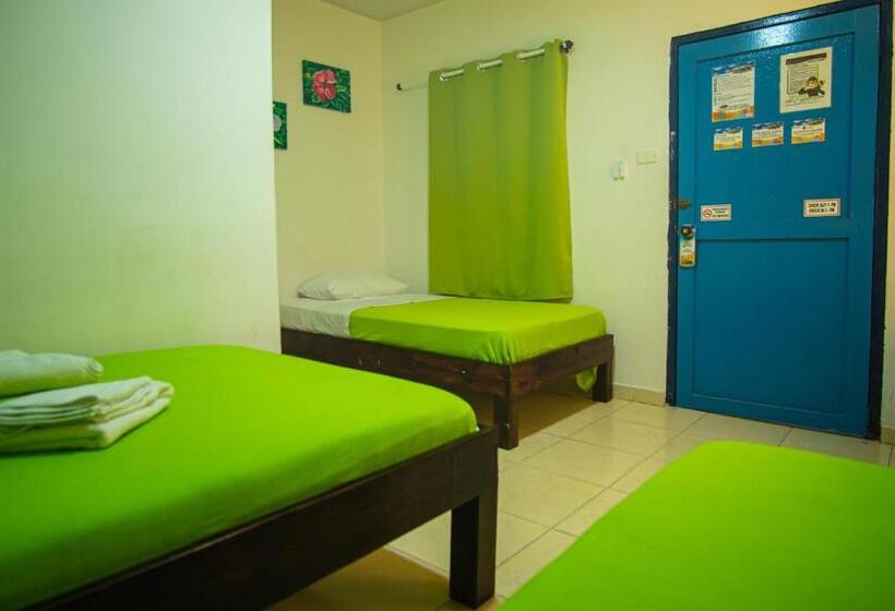 Номер Стандарт Трехместный, Alojamiento San Martín