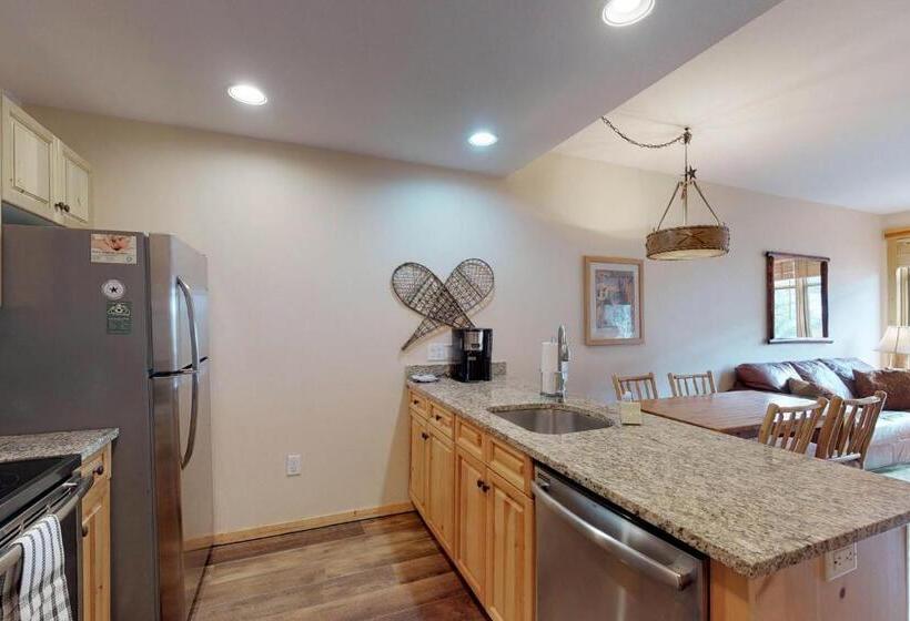 דירת חדר, Tucker Mountain Lodge 321