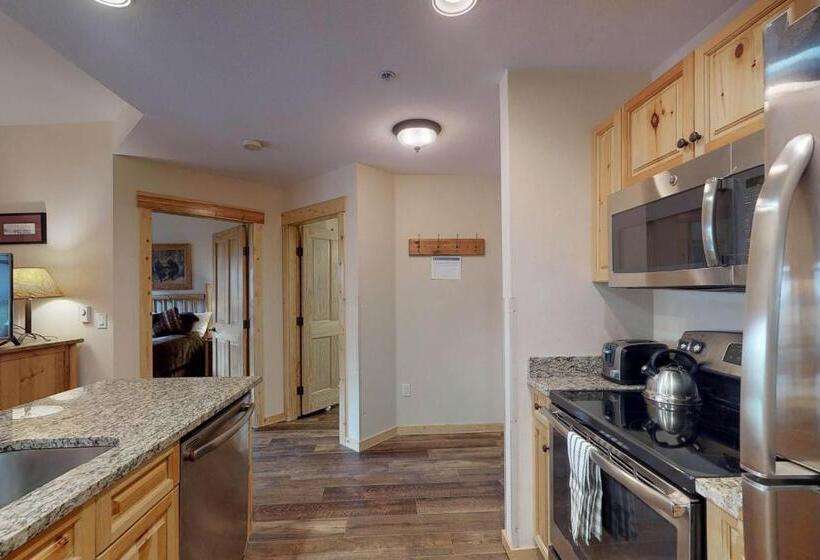 آپارتمان 1 خوابه, Tucker Mountain Lodge 321