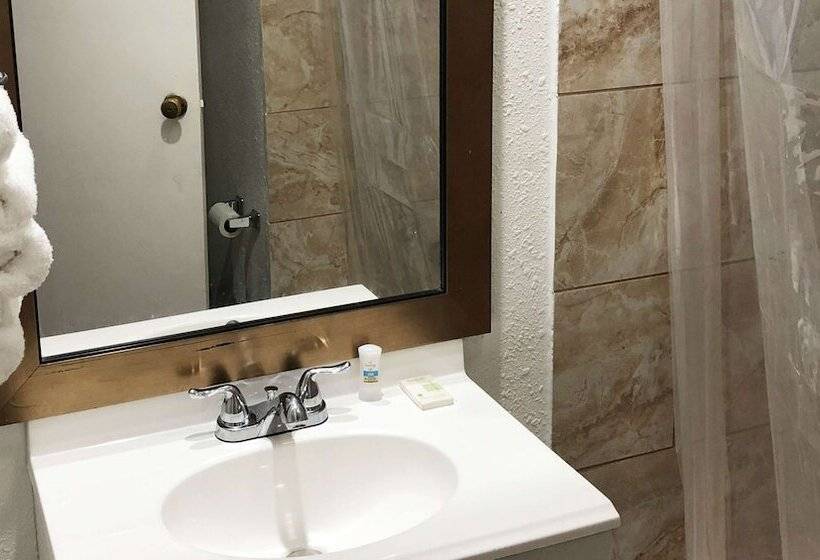 חדר סטנדרט מיטה זוגית, Lucky Vista Motel