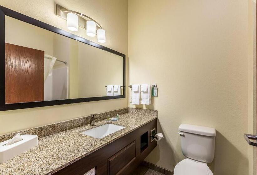 إستوديو ديلوكس, Cobblestone Hotel & Suites Hartford