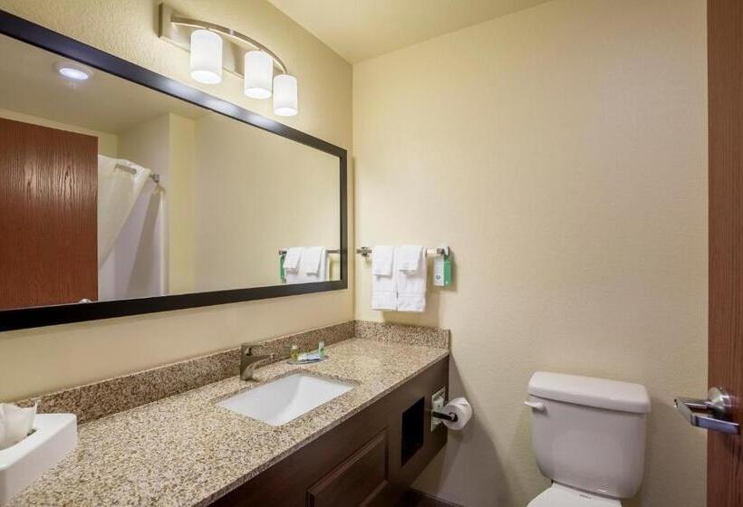 디럭스 스위트, Cobblestone Hotel & Suites Hartford