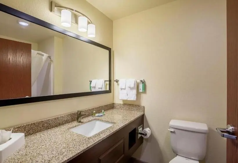 Deluxe-sviitti, Cobblestone Hotel & Suites Hartford