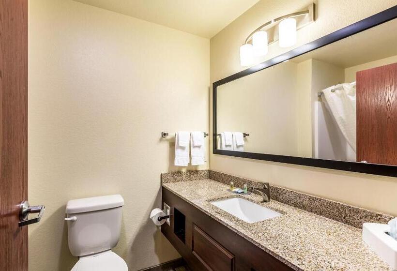 스탠다드 룸, Cobblestone Hotel & Suites Hartford