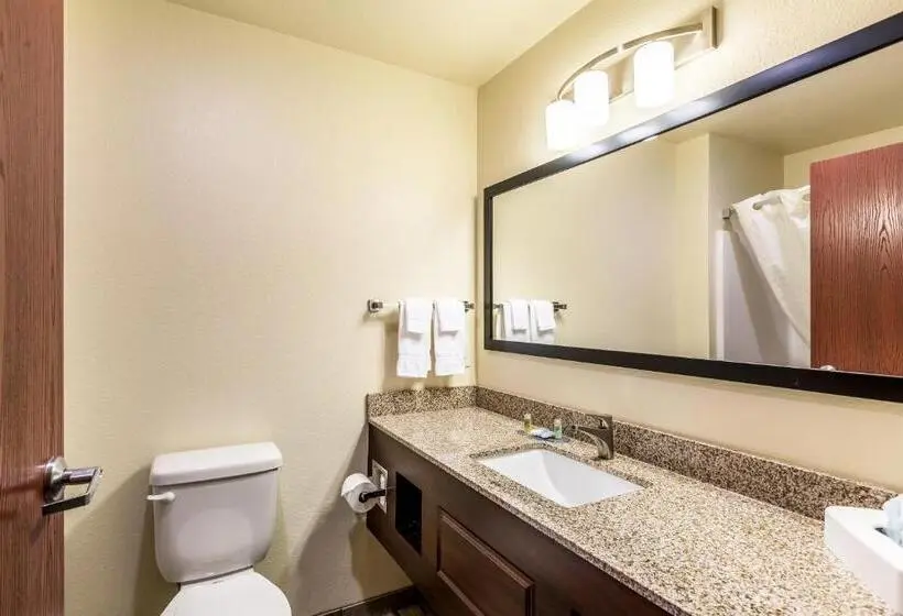 Standard-huone, Cobblestone Hotel & Suites Hartford