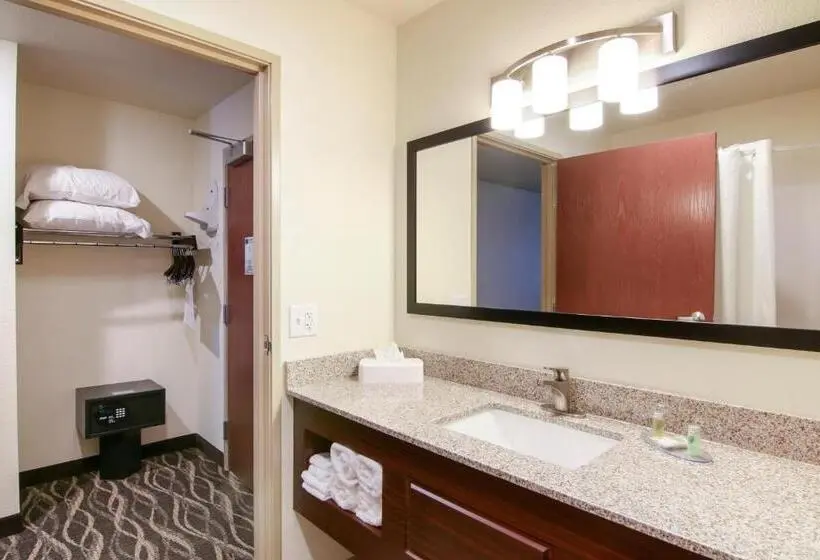 Standard-studio, Cobblestone Hotel & Suites Hartford