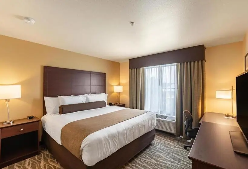 Standard-invahuone King-vuode, Cobblestone Hotel & Suites Hartford