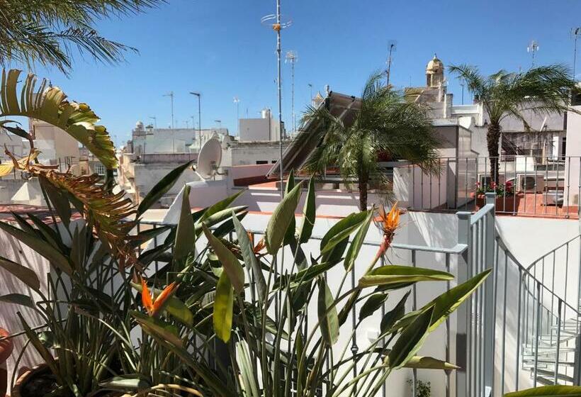 Monolocale Standard, Apartamentos Rosario 1