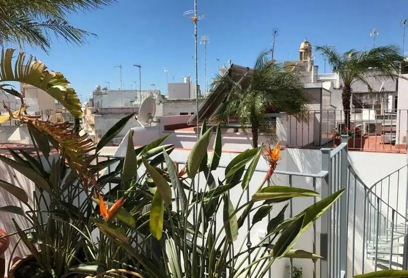 استودیوی استاندارد, Apartamentos Rosario 1